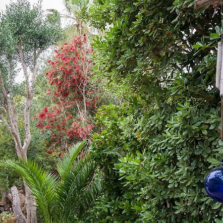 Homey Suite In Zichron Yaakov Zikhron Ya‘akov Luaran gambar